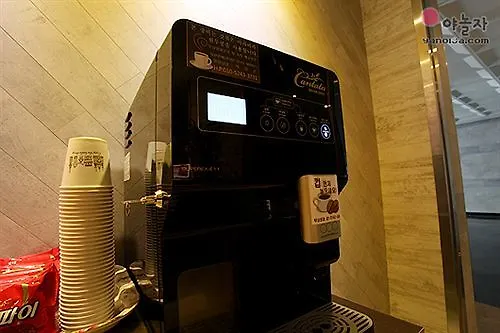 Fiona Hotel Seoul South Korea